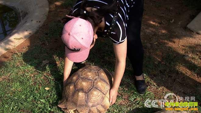 [�¸���]�������ݵ�Ⱥ�ʽ�Ǯ����ֳ��ҵ�¸���