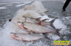 [ÿ��ũ��]̽�غ������˿��������