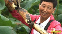 [�¸���]�㽭����62������ɽ������ź���̻�֮��