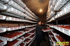 [ũ�����]�����ɷ��������ɼ�����Ƶ