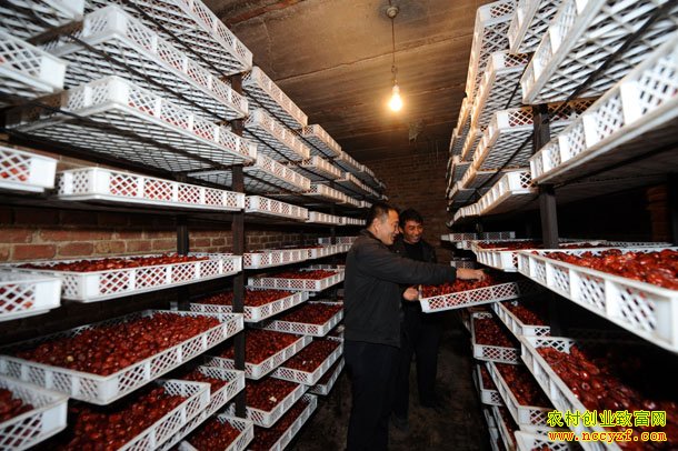 �����ɷ�ͼƬ