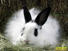 [ÿ��ũ��]������������׬����Ǯ