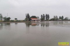 ��ֳ�¸���Ŀ����ĸ�������з Ч�淭��