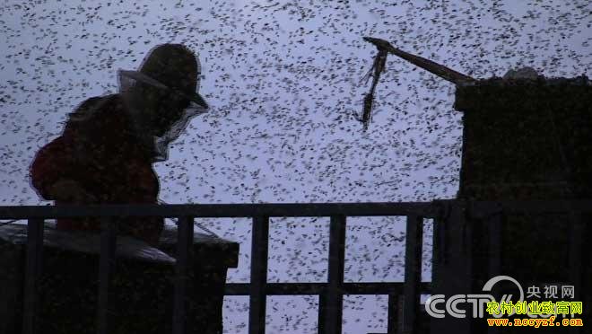 �¸������۷����� �Ƹ����� 10��8��