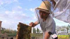 [�¸���]ɽ��������������۷����� �Ƹ�����