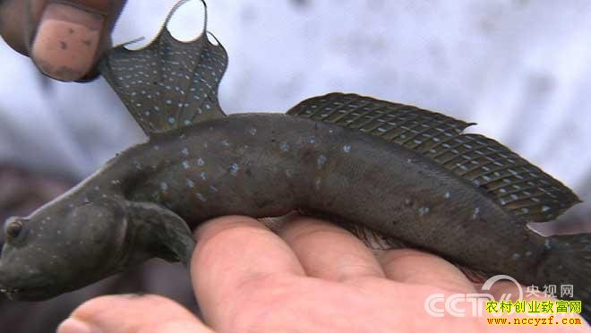 �����������������֮��