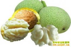 ��Ƥ��������ȥƤ