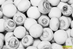 ��ֲ˫�߹��г�ǰ����