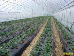 [ũ�����]���Ҳ�ݮ�����������༼����Ƶ