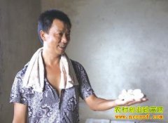 ����׬Ǯ���Ĵ�������λ�ֵ������¸���