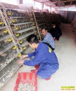 ��̬������ �¸��С�Ǯ��;