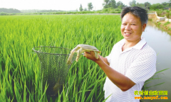 [ÿ��ũ��]�������� �������������