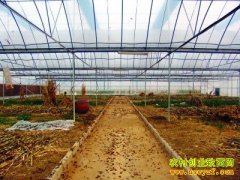 ɽ���������ٸ�����������Ķ����1.6��Ԫ