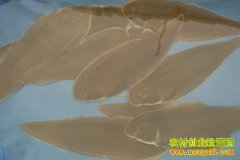 [ÿ��ũ��]��Ŀ�����㡱��Ŀ����ֳ��Ч��