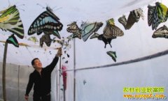 [�Ƽ�Է]���������������Ÿ���������