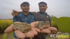 [�¸���]��������˫��̥�ֵܲ̿��̳��������¸�