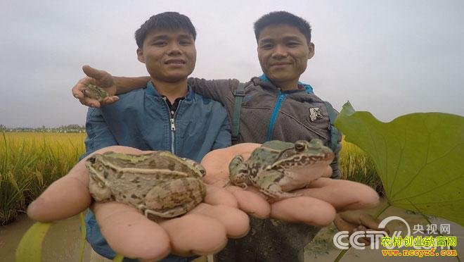 ˫��̥�ֵ�������