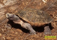 [ũ�����]���޾޹���ֳ����