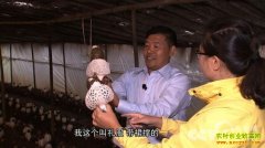 [�¸���]����֯������������ݥ��ͷ�����ĲƸ�