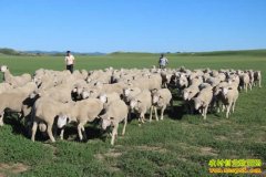 [�����е�]���ɹų��Ҧ�����ֳ���ڴ������׬Ǯ