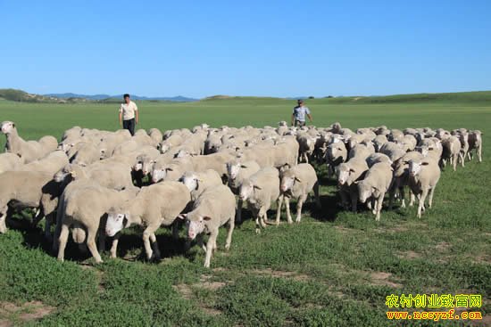 ���ڴ�����ͼƬ