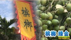 [�۽���ũ]�����İ���Ԫ��ֵ�ı���