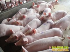 ���۸����� �������׬Ǯ��