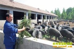 ɽ��������̬��ֳ����ÿͷ����2000Ԫ