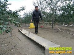 �������ֿ̼��� ��������������