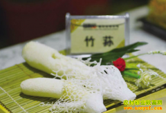 ��ֲ��Ŀ��ũ����ֲ�¸�����Ŀ-��ֲ��ݥ