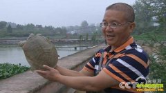 [�¸���]�������꺺����ȫ������һ��Ӯ�Ȼ�