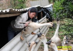 ����׬Ǯ�����ɹź��ױ���֣��÷�����¸�