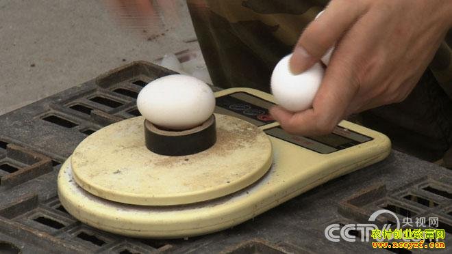 25�갲���쳤С��¹��������Եļ��������¸�