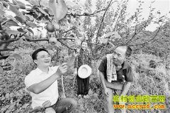 �����ѧ������������������¸�