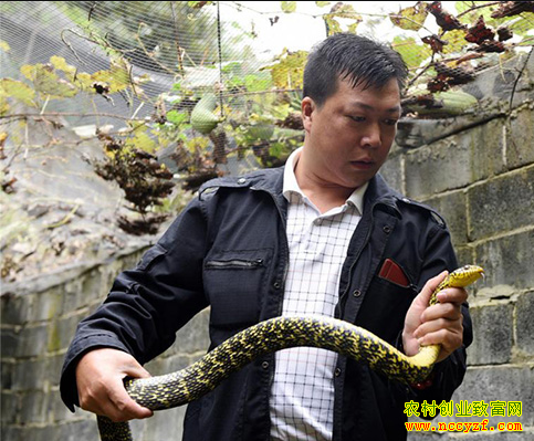 ��������70��ũ������������ѡ��Խ�