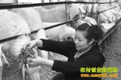 ɽ�����ȣ���ѧ�������������ͬ�¸�