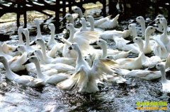 [ũ�����]���ǰ�Ѽ���ּ�