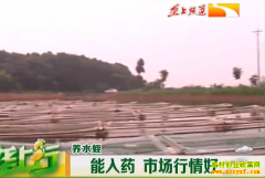 ��ֳ�¸���Ŀ��ˮ������ҩ ��ֳˮ��ǰ����