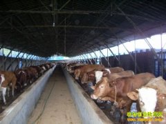 [�Ƽ�Է]������ţ������Ǯ��