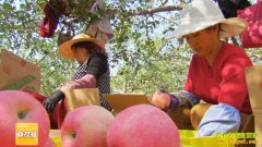 [�Ƽ�Է]������ƻ��������