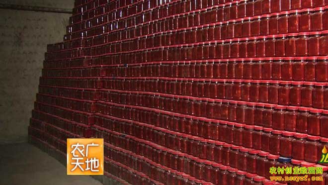 ����ӹ�ͼƬ