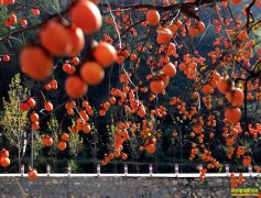 ɽ����Դ�����ģ����ӵ��ɷ羰�� һ������һ��Ǯ