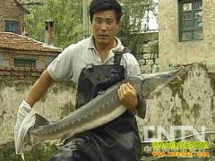 �����ӳ��������Τ������������׬200��