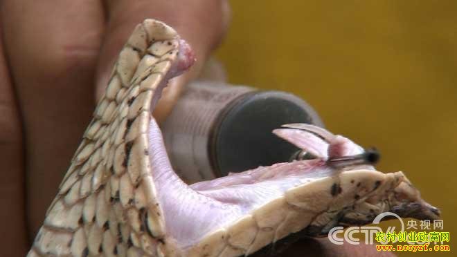 �����¸����������¸��غ�־��������׬Ǯ�¸�