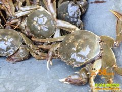 [ÿ��ũ��]�����բз���аԵ�