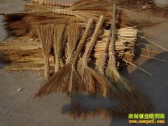 ɽ�����������¿������㷢���¸���ҵ����