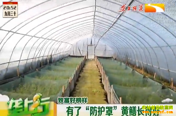 ���ˡ������֡��������ú�