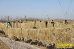 [�����е�]�������ֺ����ӹ���������Դ