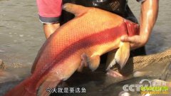 [�¸���]�㶫��ɽ̷���������¸����ܳ�ǰһ��