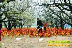 ��̬�����¸���Ŀ������԰�������� �ջسɱ��ڶ���